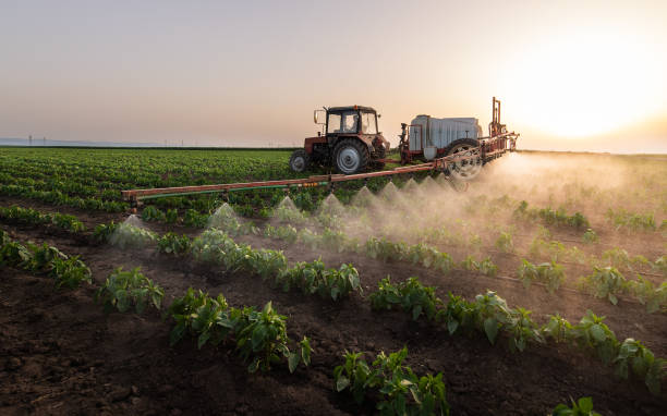 Best Mosquito Control Services  in Fairfax, OK