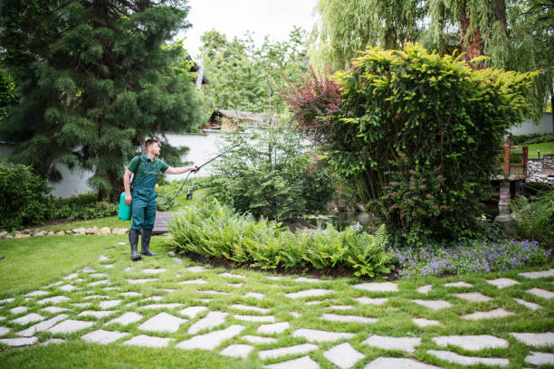 Best Mosquito Control Services  in Fairfax, OK