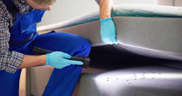Best Pest Control Near Me  in Fairfax, OK