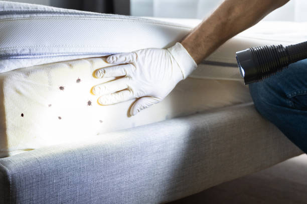 Best Pest Control Near Me  in Fairfax, OK