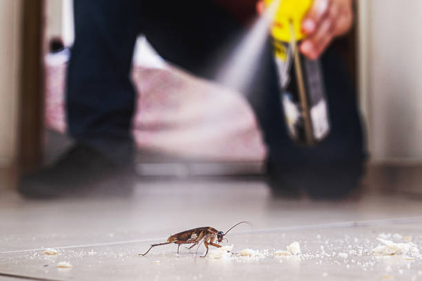Best Wildlife Control Services  in Fairfax, OK