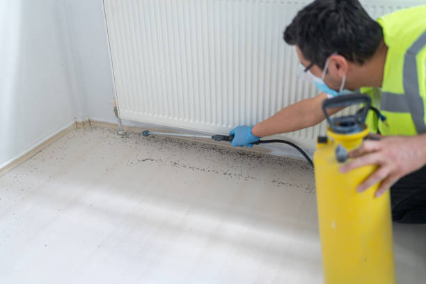 Best Exterminator Services  in Fairfax, OK