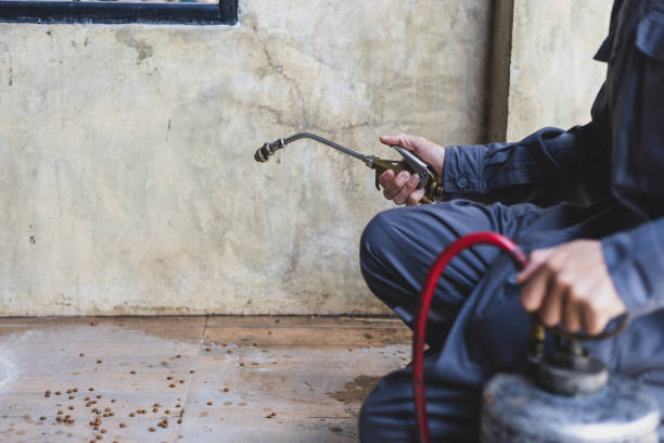 Best Pest Control for Homes  in Fairfax, OK